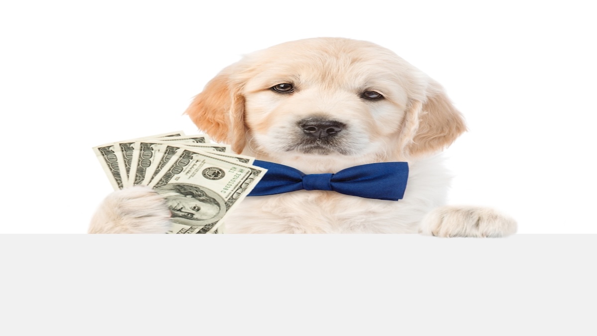 Managing &ldquo;Wealth Overhang:&rdquo; What to Do When Your Portfolio Outpaces Your Plan 
