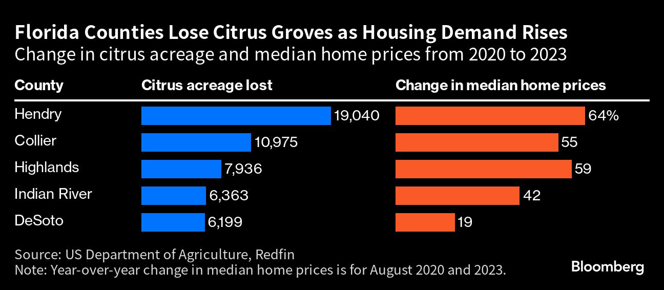 Florida Counties Lose Citrus Groves as Housing Demand Rises
