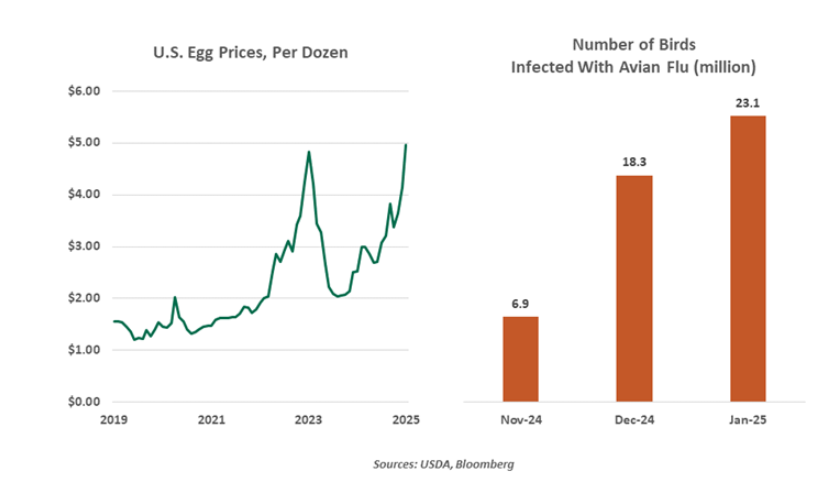 US egg prices per dozen