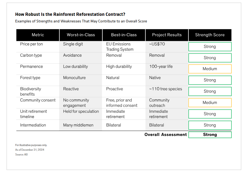 How robust is the rainforest reforestation contract