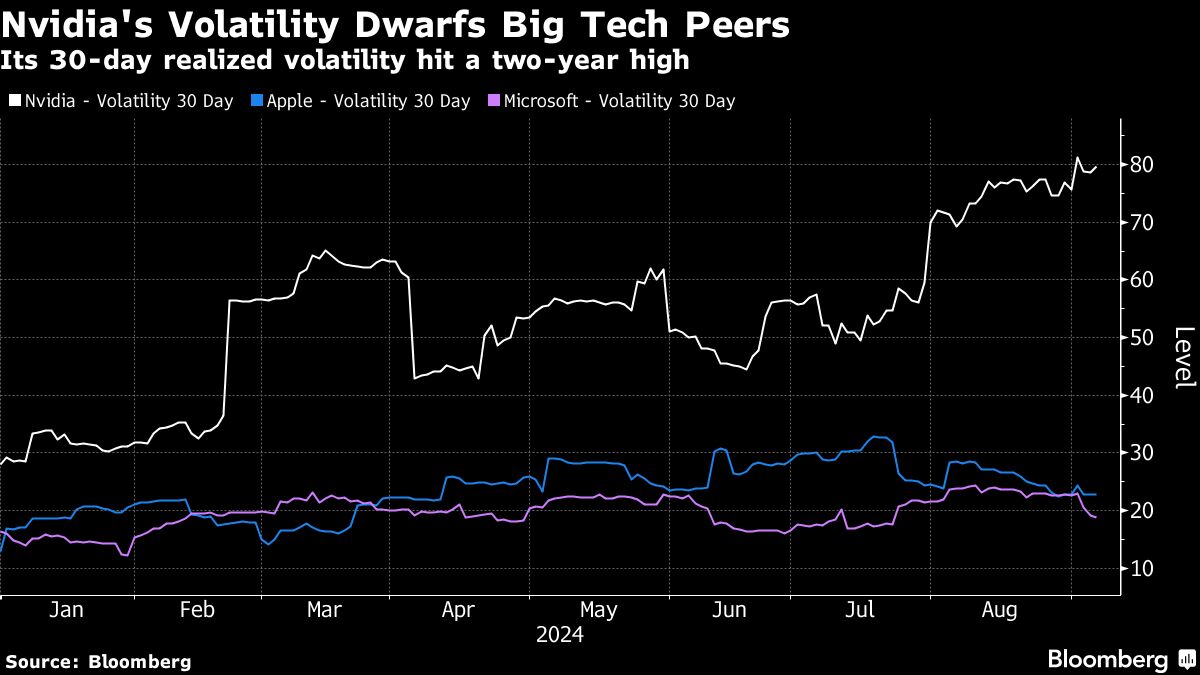 NVIDIAS VOLATILITY