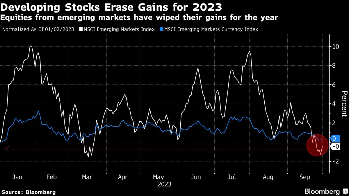 Developing Stocks Erase Gains for 2023