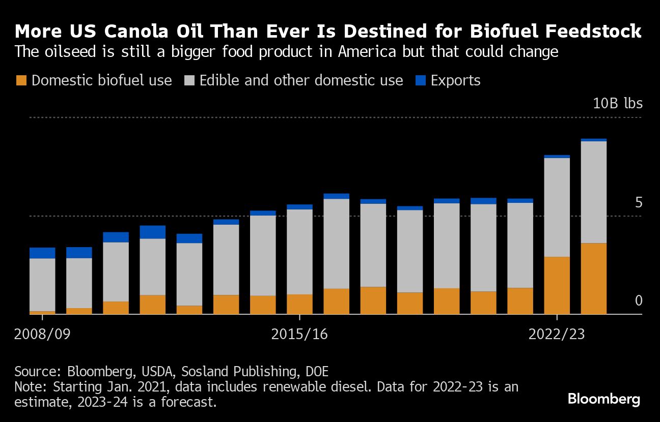 more us canola