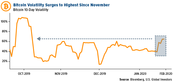 Bitcoin volitility sugres to highest since November
