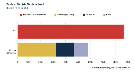 tesla's electric vehicle lead