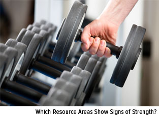 Which Resource Areas Show Signs of Strength?